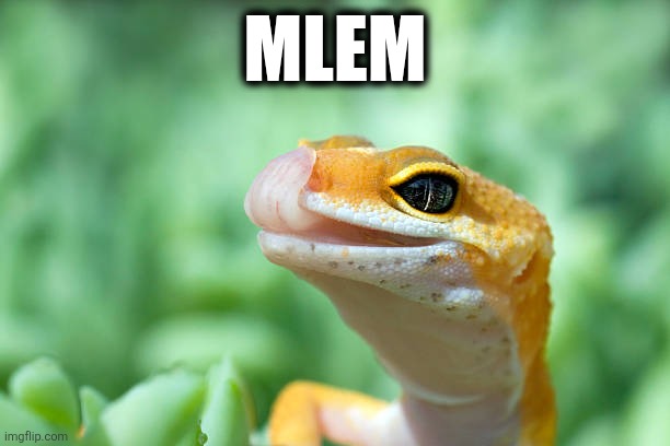 Lizard | MLEM | image tagged in lizard | made w/ Imgflip meme maker