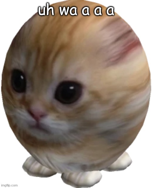 egg gatito | uh wa a a a | image tagged in egg gatito | made w/ Imgflip meme maker