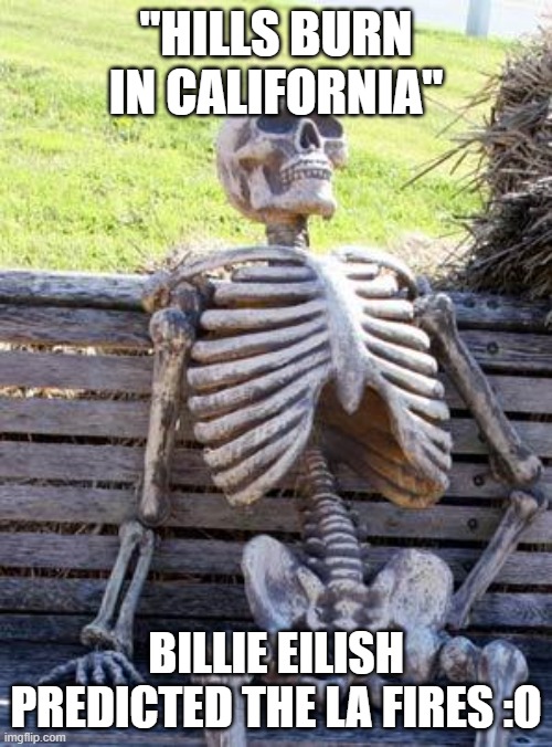 "don't say i didn't warn ya" | "HILLS BURN IN CALIFORNIA"; BILLIE EILISH PREDICTED THE LA FIRES :O | image tagged in memes,waiting skeleton | made w/ Imgflip meme maker
