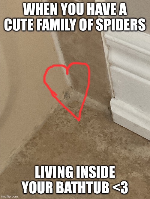 Jeremy (the spider) better not lay eggs… | WHEN YOU HAVE A CUTE FAMILY OF SPIDERS; LIVING INSIDE YOUR BATHTUB <3 | image tagged in spider,funny,memes | made w/ Imgflip meme maker