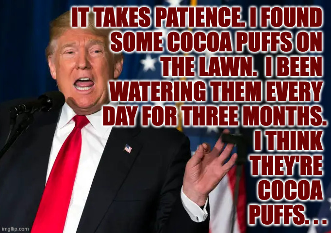IT TAKES PATIENCE. I FOUND 
SOME COCOA PUFFS ON 
THE LAWN.  I BEEN 
WATERING THEM EVERY 
DAY FOR THREE MONTHS.
I THINK 
THEY'RE 
COCOA 
PUFF | made w/ Imgflip meme maker