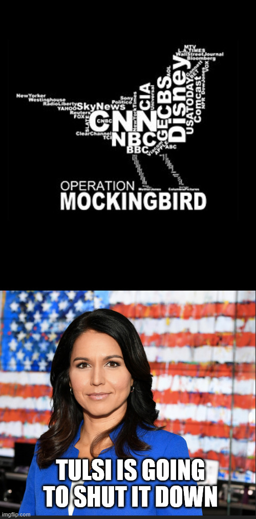 Operation mockingbird | TULSI IS GOING TO SHUT IT DOWN | image tagged in tulsi gabbard,exposed,cia,still running operation mockingbird | made w/ Imgflip meme maker