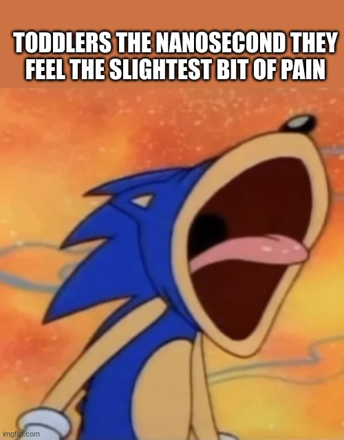 trust me | TODDLERS THE NANOSECOND THEY FEEL THE SLIGHTEST BIT OF PAIN | image tagged in sonic scream,kids,pain | made w/ Imgflip meme maker