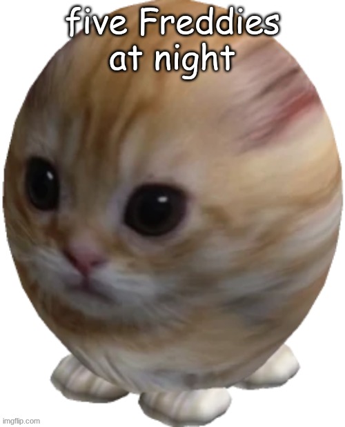 egg gatito | five Freddies at night | image tagged in egg gatito | made w/ Imgflip meme maker
