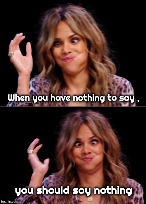 Lovely Halle Berry | When you have nothing to say , you should say nothing | image tagged in lovely halle berry | made w/ Imgflip meme maker