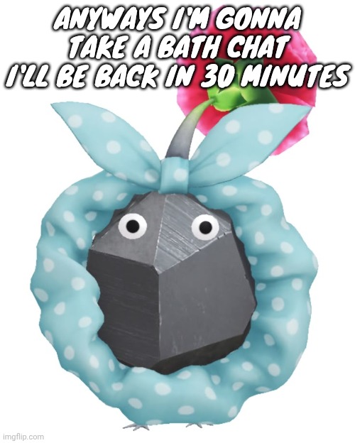 Scrunchie rock pikmin | ANYWAYS I'M GONNA TAKE A BATH CHAT I'LL BE BACK IN 30 MINUTES | image tagged in scrunchie rock pikmin | made w/ Imgflip meme maker