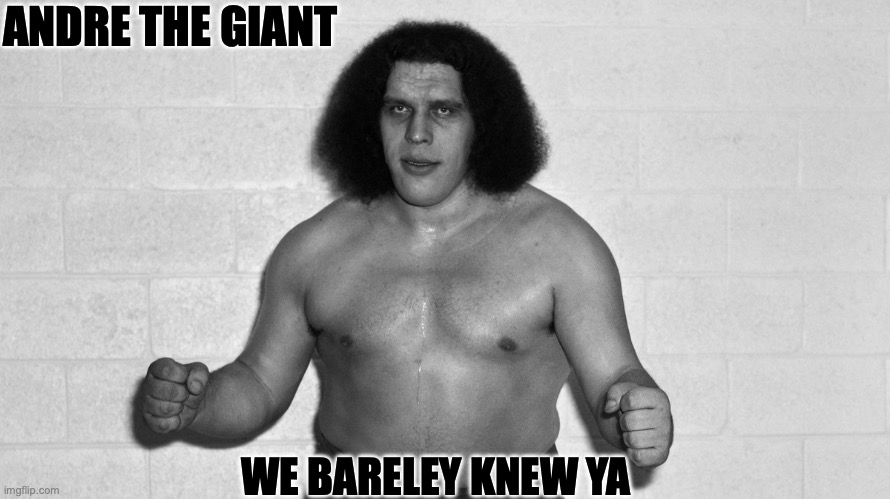 Andre the giant | ANDRE THE GIANT; WE BARELEY KNEW YA | image tagged in wrestling,pro wrestling,wrestlemania | made w/ Imgflip meme maker