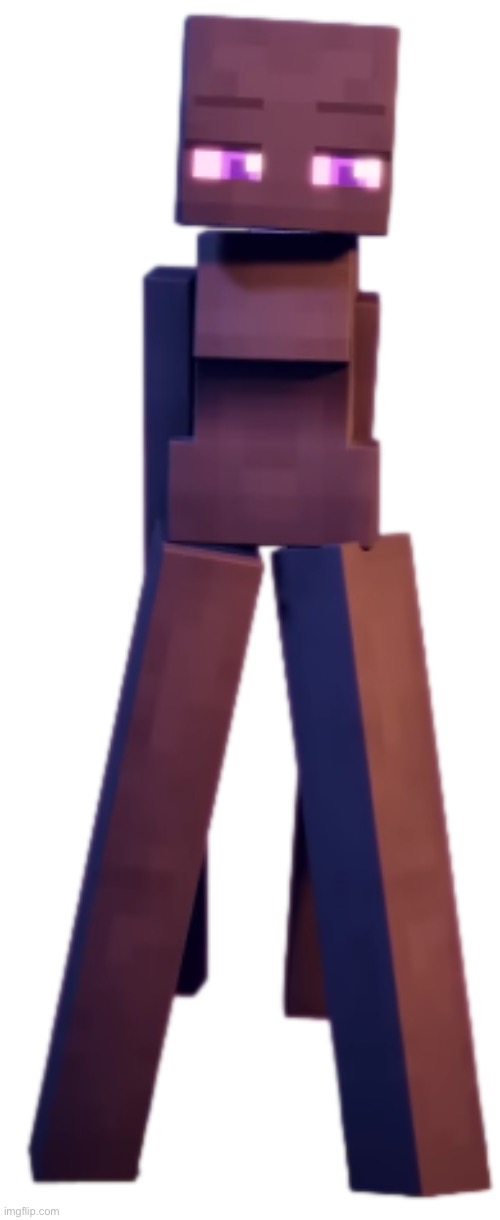 Enderwoman | image tagged in enderwoman | made w/ Imgflip meme maker