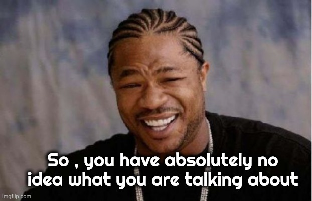 Yo Dawg Heard You Meme | So , you have absolutely no idea what you are talking about | image tagged in memes,yo dawg heard you | made w/ Imgflip meme maker