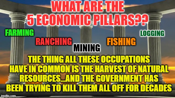 The 5 Pillars | WHAT ARE THE 5 ECONOMIC PILLARS?? LOGGING; FARMING; FISHING; RANCHING; MINING; THE THING ALL THESE OCCUPATIONS HAVE IN COMMON IS THE HARVEST OF NATURAL RESOURCES...AND THE GOVERNMENT HAS BEEN TRYING TO KILL THEM ALL OFF FOR DECADES | image tagged in the 5 pillars | made w/ Imgflip meme maker