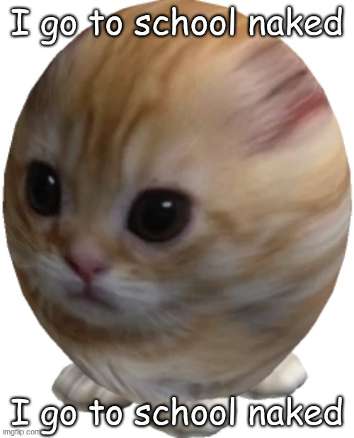 egg gatito | I go to school naked; I go to school naked | image tagged in egg gatito | made w/ Imgflip meme maker