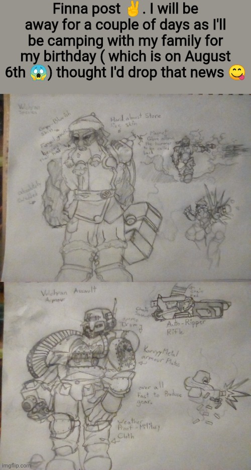 Vulchran species and their ground unit ( lore lite edition in comments) | Finna post ✌. I will be away for a couple of days as I'll be camping with my family for my birthday ( which is on August 6th 😱) thought I'd drop that news 😋 | made w/ Imgflip meme maker