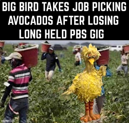 Big Bird gets a new job | image tagged in political,reposts,big bird | made w/ Imgflip meme maker