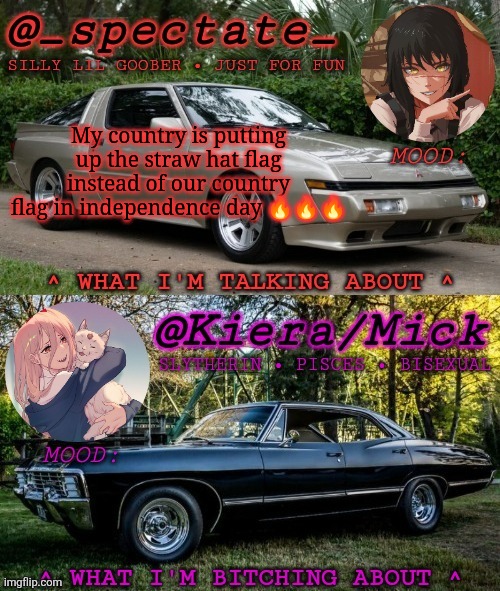Yes I'm not joking | My country is putting up the straw hat flag instead of our country flag in independence day 🔥🔥🔥 | image tagged in km spectate shared temp,one peak | made w/ Imgflip meme maker