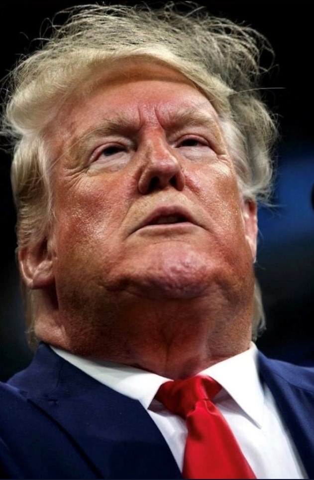 Trump Blank Meme Template