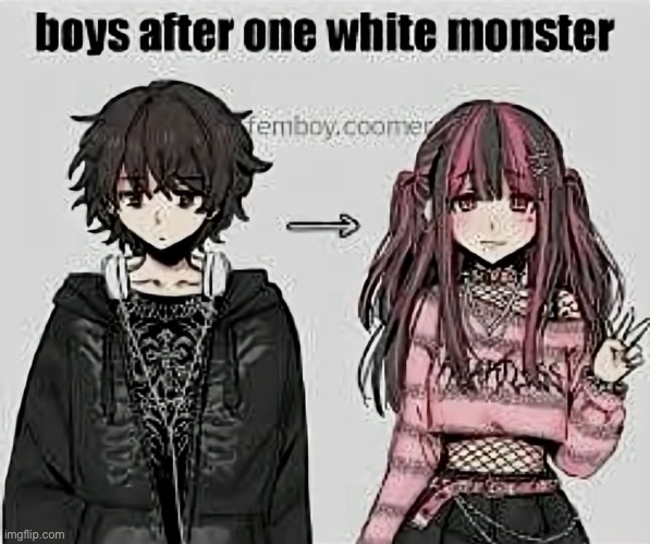 Bro really went from @Mahler. to @an_insane_rat | image tagged in femboys,memes,shitpost,users | made w/ Imgflip meme maker
