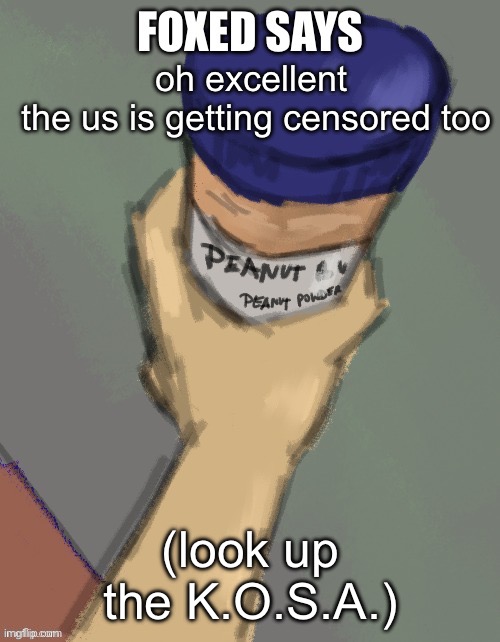 foxed temp (thanks disco) | oh excellent 
the us is getting censored too; (look up the K.O.S.A.) | image tagged in foxed temp thanks disco | made w/ Imgflip meme maker