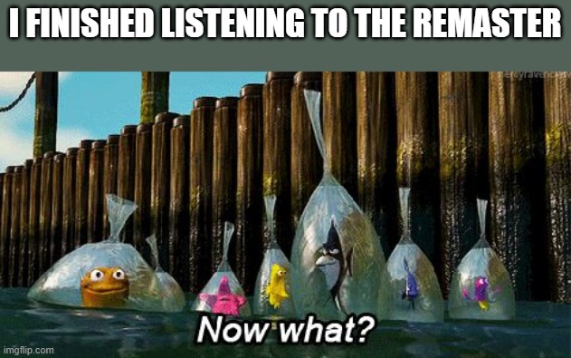 erm... | I FINISHED LISTENING TO THE REMASTER | image tagged in now what | made w/ Imgflip meme maker