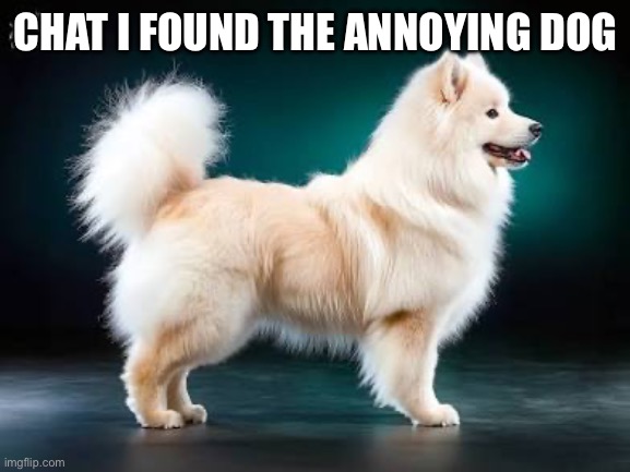 CHAT I FOUND THE ANNOYING DOG | made w/ Imgflip meme maker