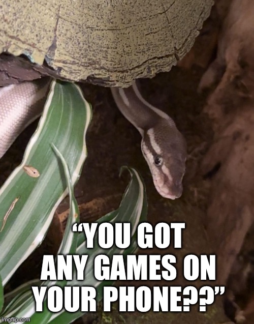 “YOU GOT ANY GAMES ON YOUR PHONE??” | made w/ Imgflip meme maker