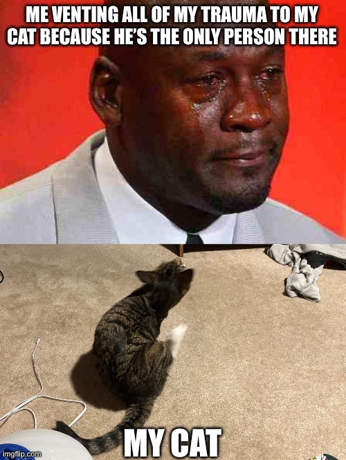 ME VENTING ALL OF MY TRAUMA TO MY CAT BECAUSE HE’S THE ONLY PERSON THERE; MY CAT | image tagged in crying michael jordan | made w/ Imgflip meme maker