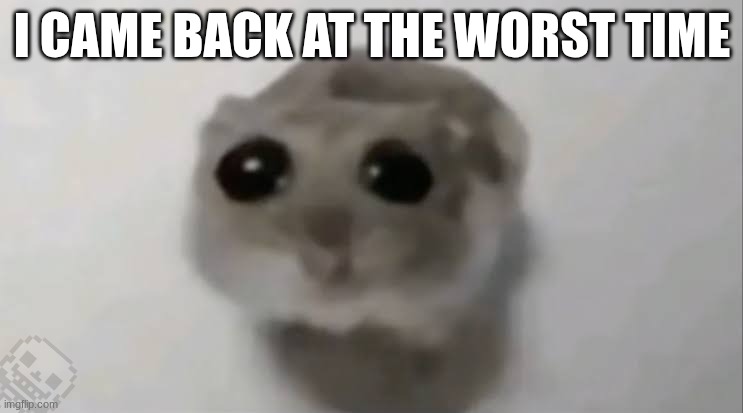 Sad Hamster | I CAME BACK AT THE WORST TIME | image tagged in sad hamster | made w/ Imgflip meme maker