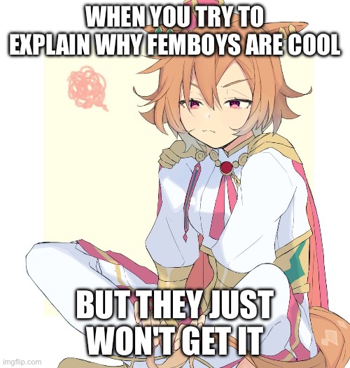 Dude is just dragging it now without text | WHEN YOU TRY TO EXPLAIN WHY FEMBOYS ARE COOL; BUT THEY JUST WON'T GET IT | image tagged in dude is just dragging it now without text | made w/ Imgflip meme maker