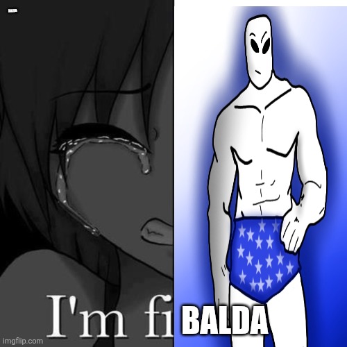 I'm fi | BALDA; BALDA | image tagged in i'm fi | made w/ Imgflip meme maker