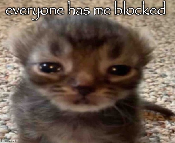 my brain itches | everyone has me blocked | image tagged in my brain itches | made w/ Imgflip meme maker