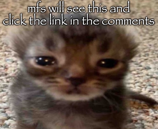 my brain itches | mfs will see this and click the link in the comments | image tagged in my brain itches | made w/ Imgflip meme maker