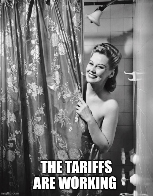 THE TARIFFS ARE WORKING | image tagged in funny memes | made w/ Imgflip meme maker