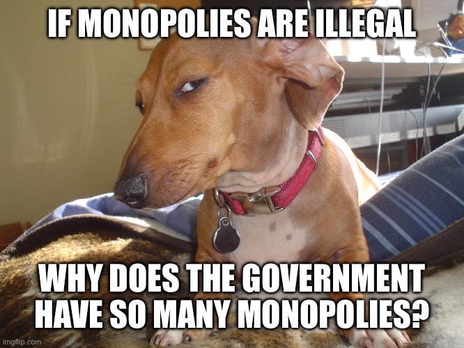 Suspicious Dog | IF MONOPOLIES ARE ILLEGAL; WHY DOES THE GOVERNMENT HAVE SO MANY MONOPOLIES? | image tagged in suspicious dog | made w/ Imgflip meme maker