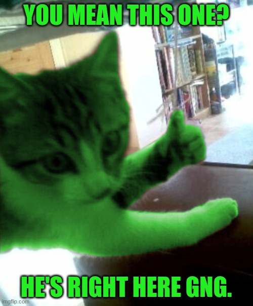 thumbs up RayCat | YOU MEAN THIS ONE? HE'S RIGHT HERE GNG. | image tagged in thumbs up raycat | made w/ Imgflip meme maker