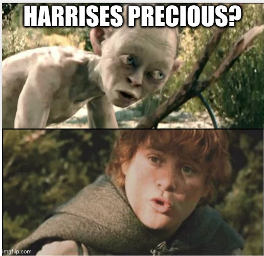 LOTR Taters | HARRISES PRECIOUS? | image tagged in lotr taters | made w/ Imgflip meme maker