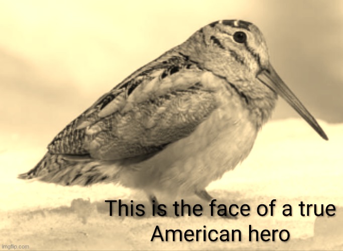 No need for words I already know | image tagged in bird | made w/ Imgflip meme maker