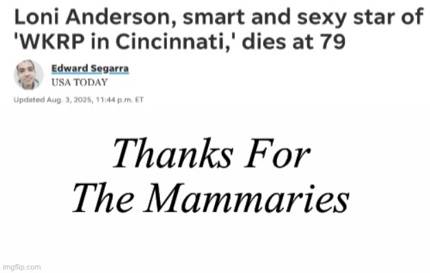 Gone | image tagged in rip | made w/ Imgflip meme maker