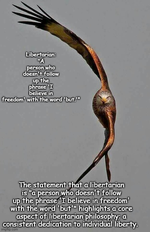 Those who would give up essential liberty to purchase a little temporary safety deserve neither liberty nor safety.-B. Franklin | Libertarian: "A person who doesn't follow up the phrase 'I believe in freedom' with the word 'but.'"; The statement that a libertarian is "a person who doesn't follow up the phrase 'I believe in freedom' with the word 'but'" highlights a core aspect of libertarian philosophy: a consistent dedication to individual liberty. | image tagged in american politics,libertarian,second amendment,scumbag government | made w/ Imgflip meme maker