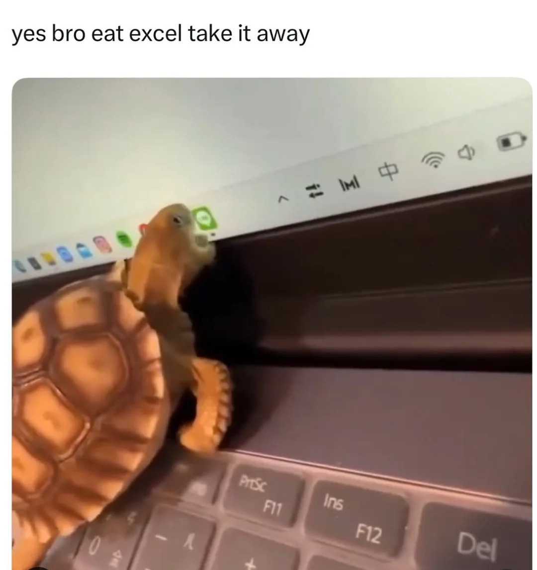 turtle eats it Blank Meme Template