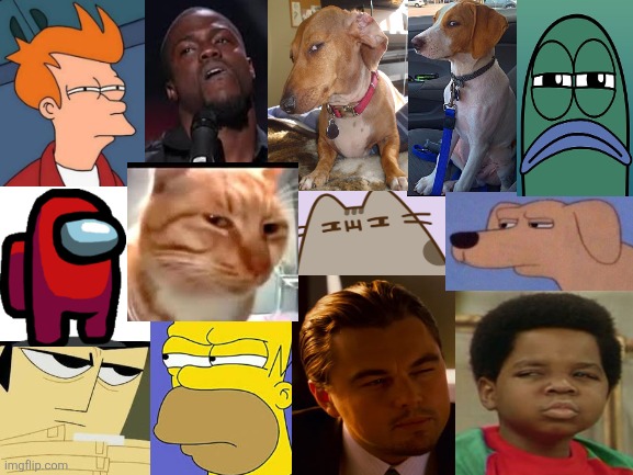 Suspicious Blank Meme Template