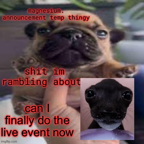 type 1 for yes, today. type 2 for no, tomorow | can I finally do the live event now | image tagged in pug temp | made w/ Imgflip meme maker