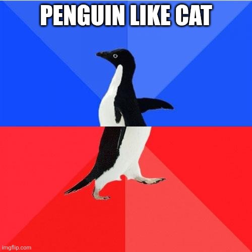 Socially Awkward Awesome Penguin Meme | PENGUIN LIKE CAT | image tagged in memes,socially awkward awesome penguin | made w/ Imgflip meme maker