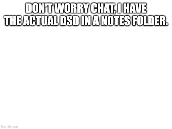 DON'T WORRY CHAT, I HAVE THE ACTUAL DSD IN A NOTES FOLDER. | made w/ Imgflip meme maker