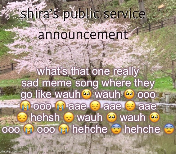 shira’s PSA | what’s that one really sad meme song where they go like wauh🥺 wauh 🥺 ooo 😭 ooo 😭 aae 😔 aae 😔 aae 😔 hehsh 😞 wauh 🥺 wauh 🥺 ooo 😭 ooo 😭 hehche 😨 hehche 😨 | image tagged in shira s psa | made w/ Imgflip meme maker