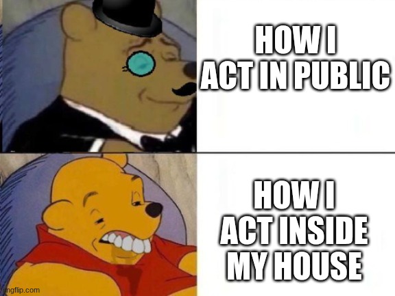 Fancy and idiot Winnie the pooh | HOW I ACT IN PUBLIC; HOW I ACT INSIDE MY HOUSE | image tagged in fancy and idiot winnie the pooh | made w/ Imgflip meme maker