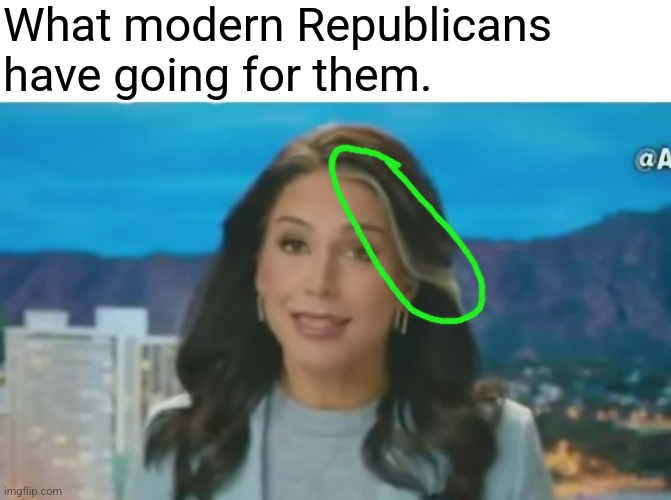 What modern Republicans have going for them. | image tagged in skunk,stripe | made w/ Imgflip meme maker