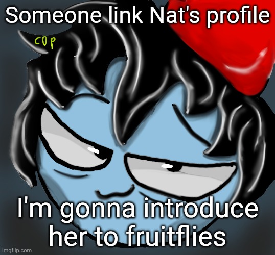 Yall will miss the joke so just link the profile | Someone link Nat's profile; I'm gonna introduce her to fruitflies | image tagged in c0p drawing | made w/ Imgflip meme maker
