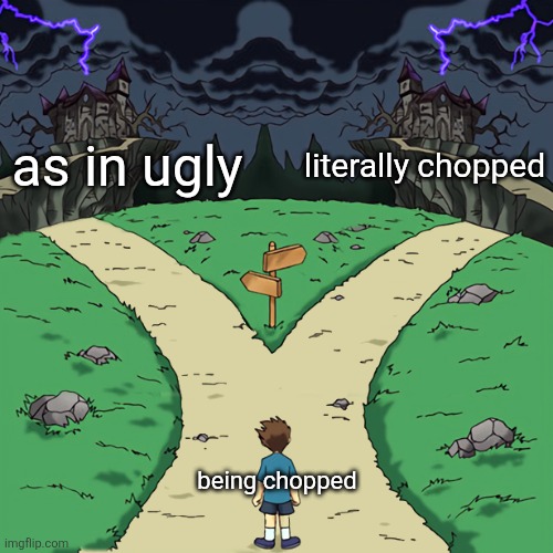 Two paths | as in ugly; literally chopped; being chopped | image tagged in two paths | made w/ Imgflip meme maker