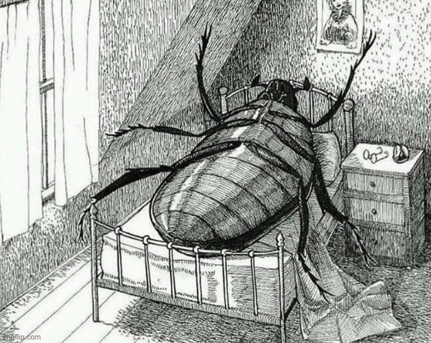 Gregor Samsa | image tagged in gregor samsa | made w/ Imgflip meme maker