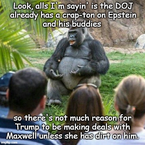 Just sayin' first he tried to divert everyone's attention. When that didn't work, he made a deal with Epstein's accomplice... | Look, alls I'm sayin' is the DOJ
already has a crap-ton on Epstein
and his buddies; so there's not much reason for
Trump to be making deals with
Maxwell unless she has dirt on him. | image tagged in professor gorilla,trump unfit unqualified dangerous,convicted criminal,maxwell,pedophiles | made w/ Imgflip meme maker