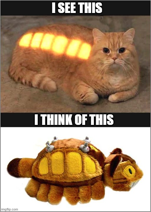 It's The Catbus ! | I SEE THIS; I THINK OF THIS | image tagged in cats,catbus,my neighbour totoro | made w/ Imgflip meme maker